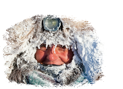 Iditarod, Yukon Quest, Norton Sound 450