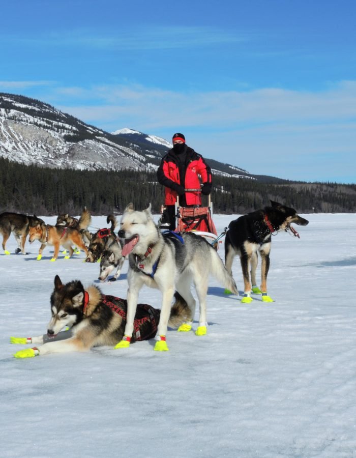 Tagish Lake Kennel Winter Mushing Tours